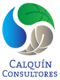 Calquín Consultores Logo